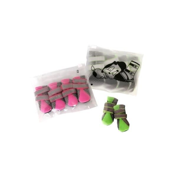 zapatos moly mascota t s