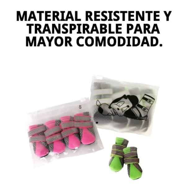 zapatos moly mascota t s