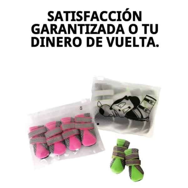 zapatos moly mascota t s