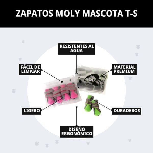 zapatos moly mascota t s