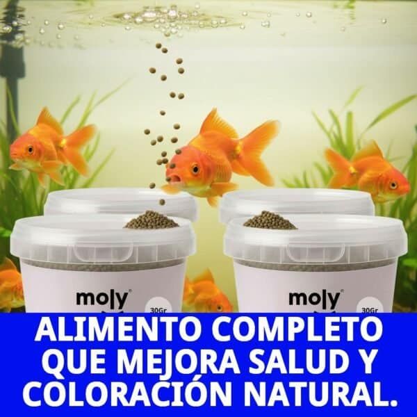moly goldfish color granulado 30 grms /120ml