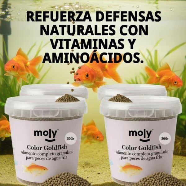 moly goldfish color granulado 30 grms /120ml
