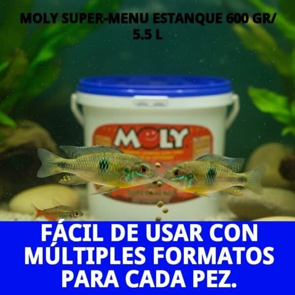 moly super menu estanque 600 gr/ 5.5 l