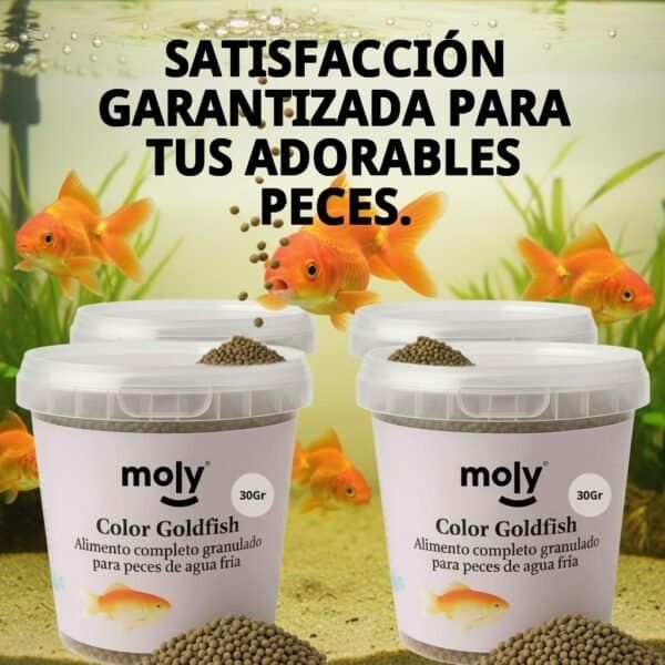 moly goldfish color granulado 30 grms /120ml