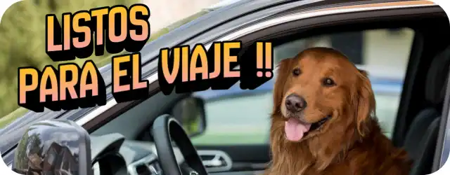 Alimentos, juguetes y accesorios para mascotas en TodoMASKOTAS.