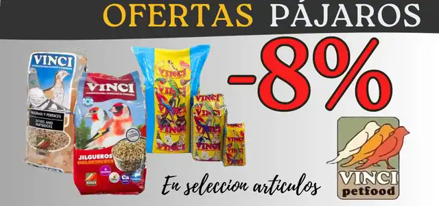 oferta 8 vinci