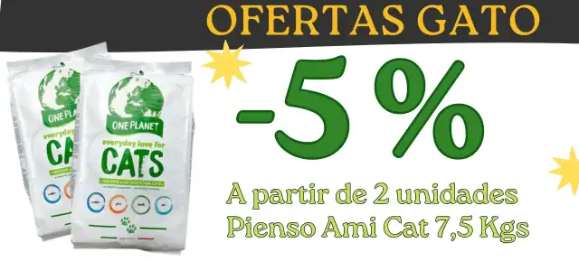 copia de oferta (2) (1)