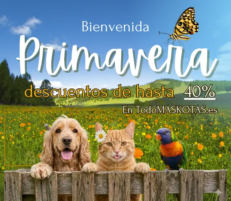 primavera en todomaskotas ya llego