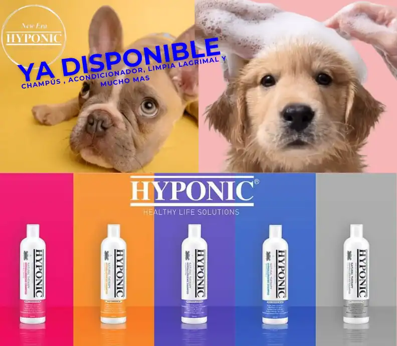 hyponic bueno