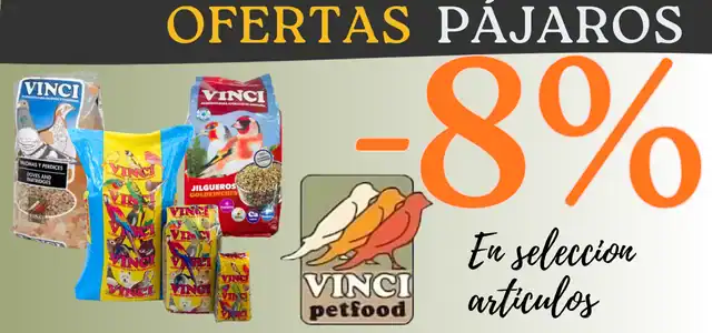 ofertas vincci