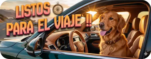 viaja con tu mascota
