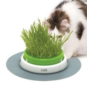 catit senses 20 germinador con hierba gatera